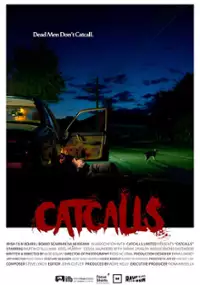 Plakat filmu Catcalls