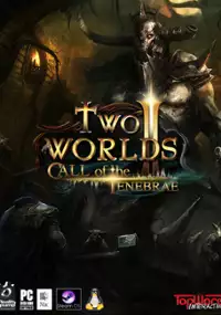 Plakat gry Two Worlds II: Call of the Tenebrae