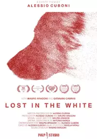 Plakat filmu Lost in the White