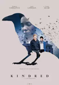 Plakat filmu Krewni