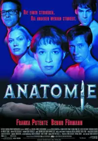 Plakat filmu Anatomia