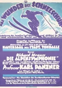 Plakat filmu Das Wunder des Schneeschuhs