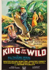Plakat filmu King of the Wild