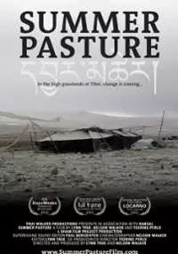 Plakat filmu Summer Pasture