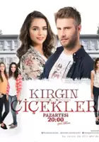 Esma Yilmaz / Kirgin Çiçekler