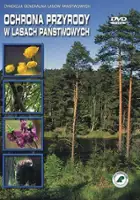 Piotr Ćwikliński / Ochrona przyrody w Lasach Państwowych