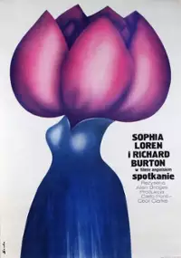 Plakat filmu Spotkanie