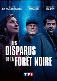 Plakat serialu Les disparus de la forêt noire
