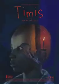 Plakat filmu Timis