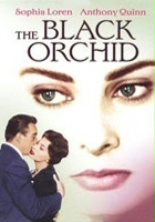 plakat filmu Czarna orchidea