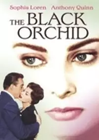 Plakat filmu Czarna orchidea