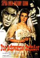 Agnes Marc / Czarna orchidea