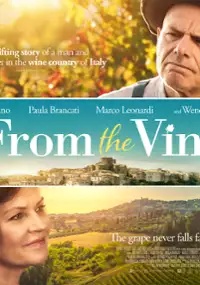 Plakat filmu Winowajca