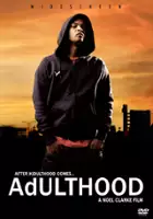 Patrik-Ian Polk / Adulthood