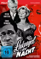 plakat filmu Lockvogel der Nacht