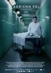 Plakat filmu Adrienn Pal