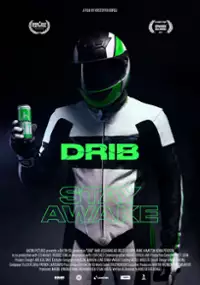 Plakat filmu DRIB