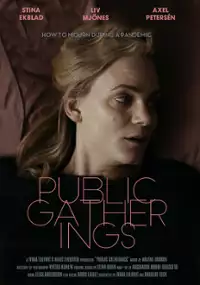Plakat filmu Allmänna sammankomster