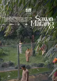 Plakat filmu Sawo Matang