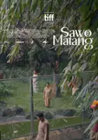 Andrea Nirmala Widjajanto / Sawo Matang