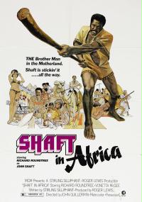 Shaft in Africa