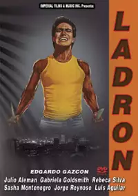 Plakat filmu Ladrón