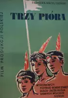 Czesław Aniołkiewicz / Trzy pióra