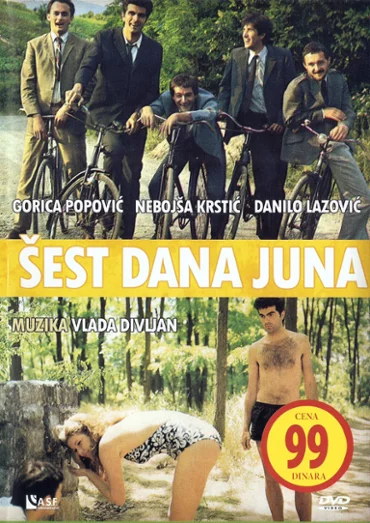 Plakat filmu &Scaron;est dana juna