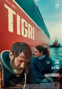Plakat filmu Tygrysy