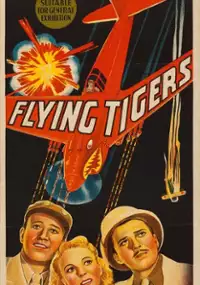 Plakat filmu Latające tygrysy
