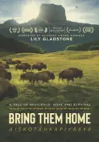 plakat filmu Buffalo Stone