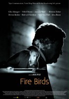 plakat filmu Fire Birds
