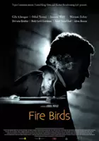 plakat filmu Fire Birds