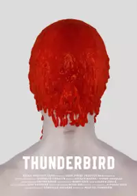 Plakat filmu Thunderbird