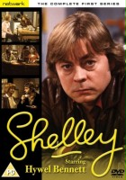 plakat filmu Shelley