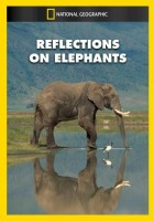 plakat filmu Reflections on Elephants