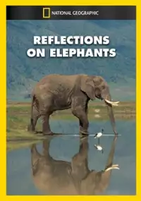 Plakat filmu Reflections on Elephants