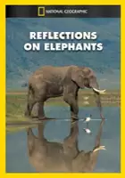 plakat filmu Reflections on Elephants