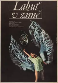 Plakat filmu O Lebada, iarna