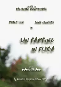 Plakat serialu Un bambino in fuga