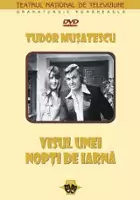 plakat filmu Visul unei nopti de iarna