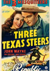 Plakat filmu Three Texas Steers