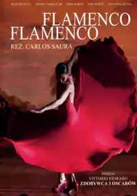 Plakat filmu Flamenco, flamenco
