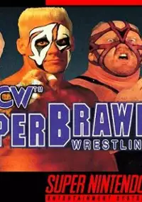 Plakat gry WCW Super Brawl Wrestling