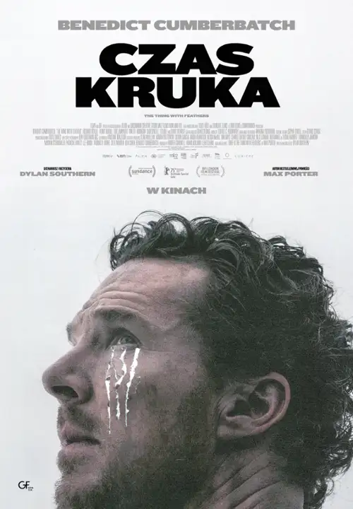 plakat filmu Czas kruka