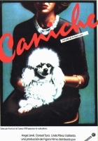 plakat filmu Caniche