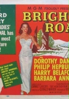 plakat filmu Bright Road