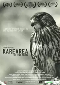 Plakat filmu Karearea: The Pine Falcon
