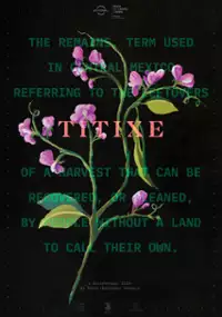 Plakat filmu Titixe