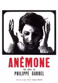 Plakat filmu Anémone